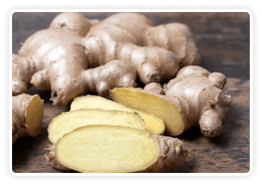 Himalayan Mountain Ginger​